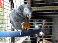 Testimonial From Sammi’s Old Owners