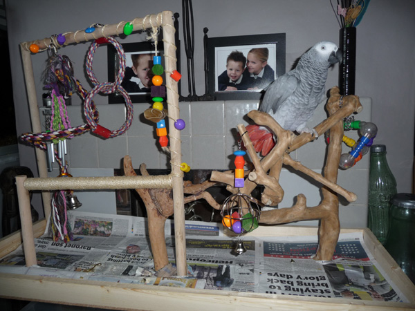 homemade parrot stand
