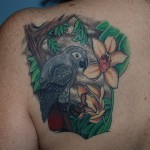 Parrot Tattoos A Shade Of Grey