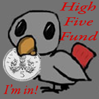 The High Five Fund Challenge!