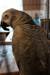 Baby Before The Beauty Treatment