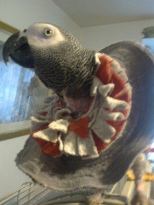 Photo0005